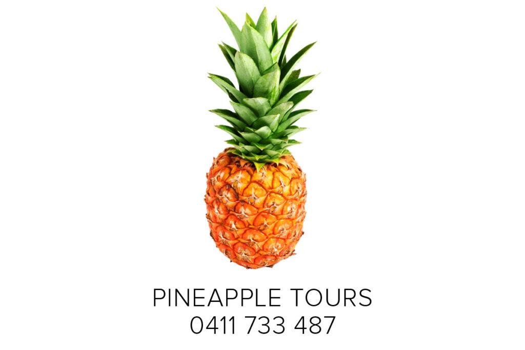 Pineapple Tours – Wine Tours – Brewery Tours – Distillery Tours