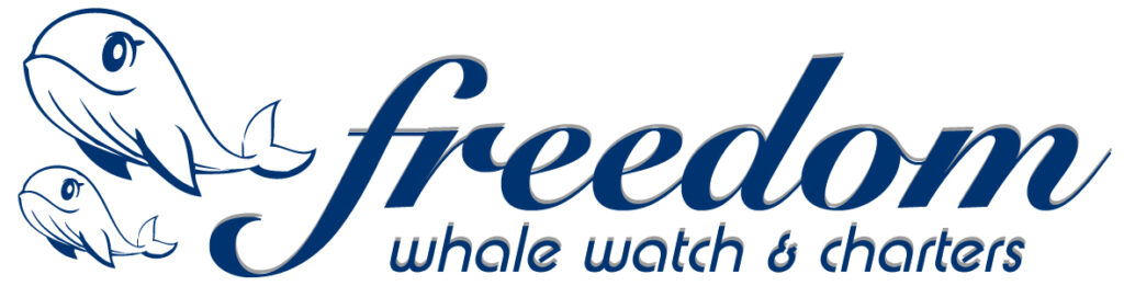 Freedom Whale Watch